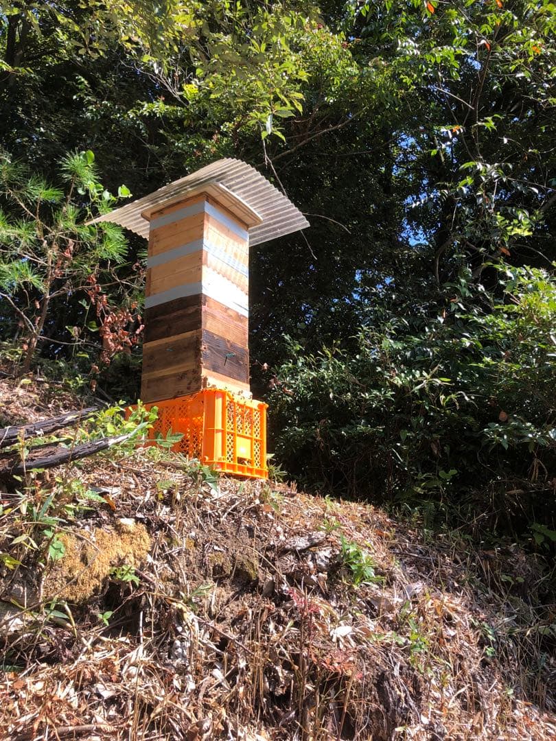 日本ミツバチの百花蜜　1キロ
