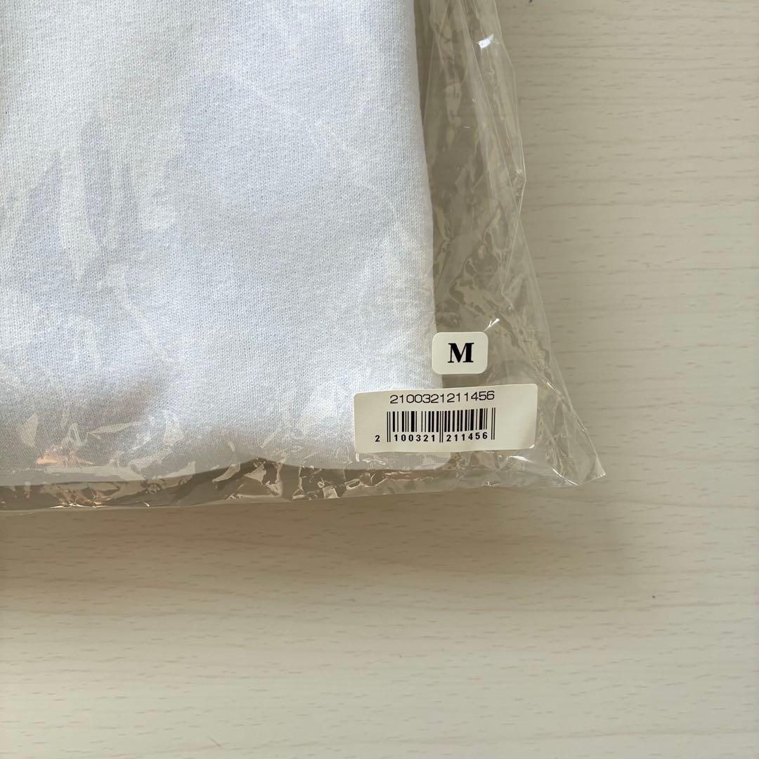 BUMP OF CHICKEN VERDYコラボグッズ 2点