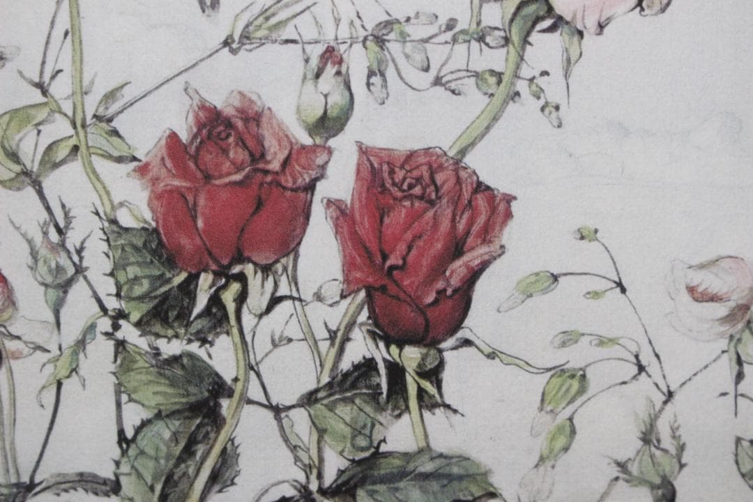 藤田嗣治 エスタンプリトグラフ「バラ」 75/250