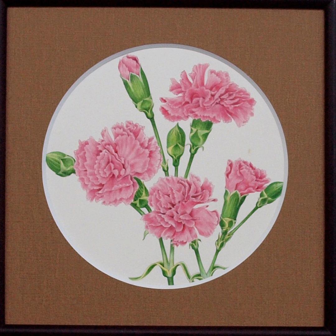 【絵画】ボタニカルアート　「カーネーション」原画