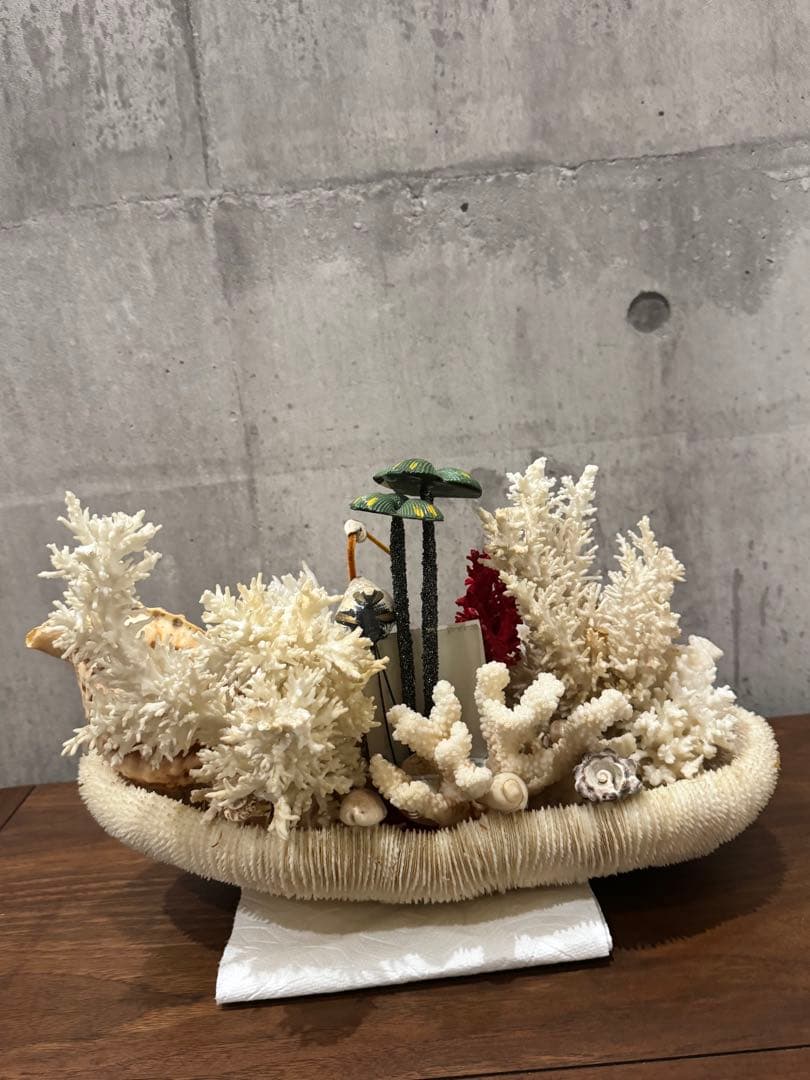白珊瑚天然　オブジェ　アクアリウム　インテリア　デコレーション サンゴ