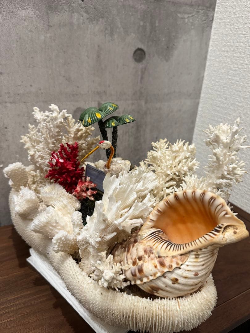 白珊瑚天然　オブジェ　アクアリウム　インテリア　デコレーション サンゴ