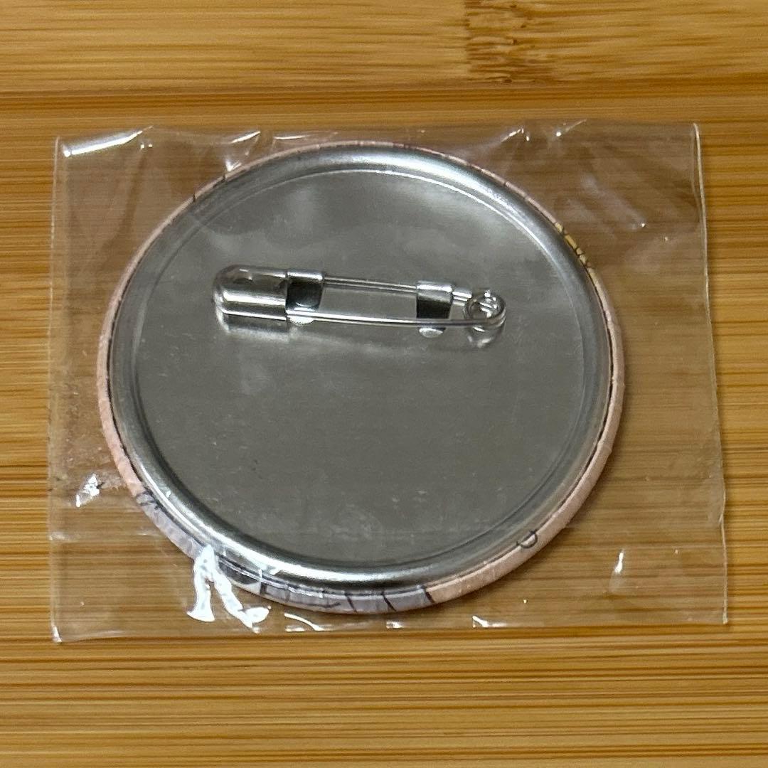 REBORN アニカプ 缶バッジ 沢田綱吉 ツナ