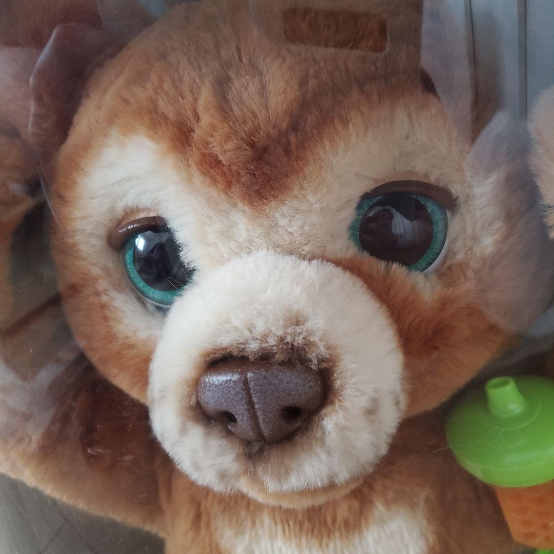 【新品未開封】こぐまのカビー　ファーリアル