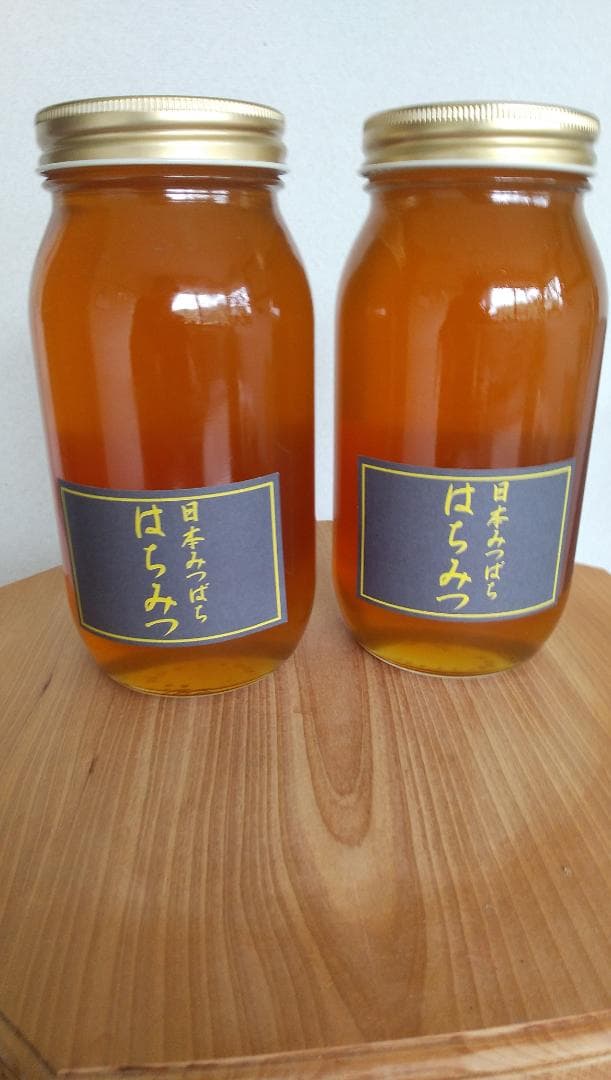 日本ミツバチ蜂蜜百花蜜　1000ｇ2本