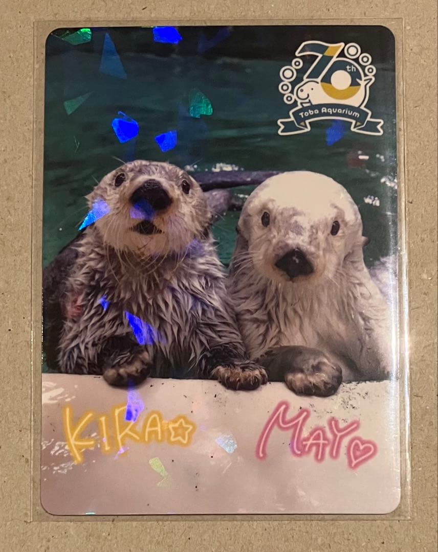 鳥羽水族館　コレクションカード　レア　キラ　メイ　ラッコ