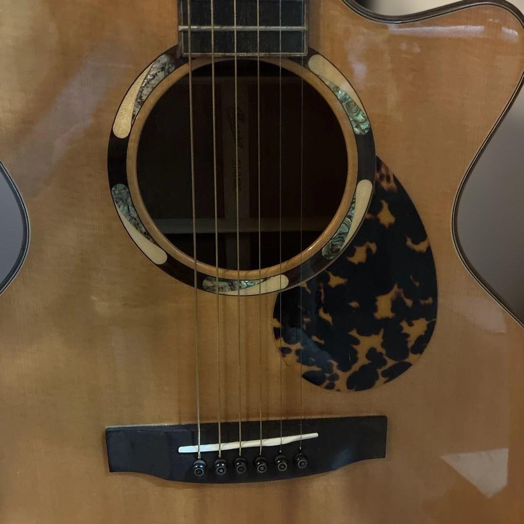 アコースティックギター カッタウェイデザイン