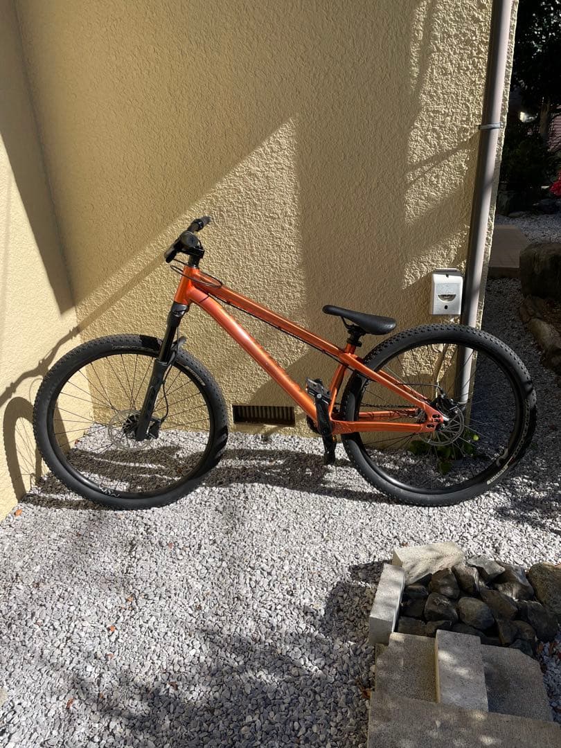 リー　送料無料 Specialized p.3 pro ダートジャンプ