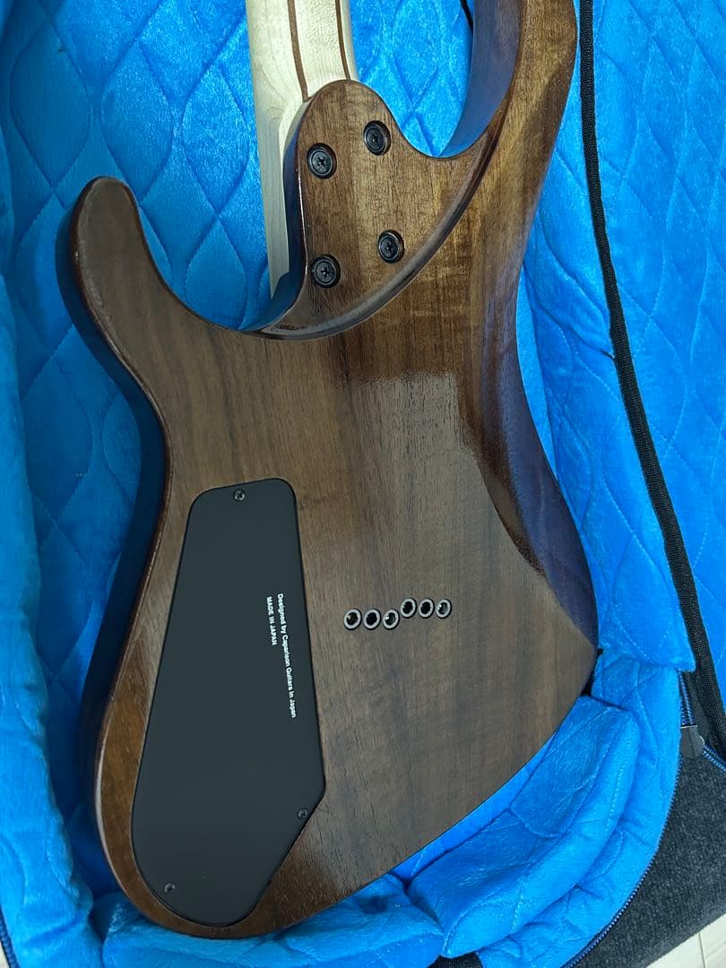 ギター Caparison Horus WB FX EF