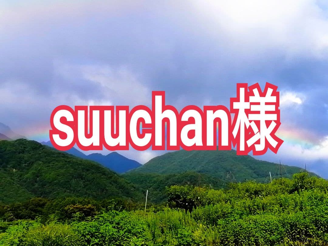 suuchan様　山梨県産　口福枯露柿　詰め合わせ　4種　2kg　干し柿　枯露柿