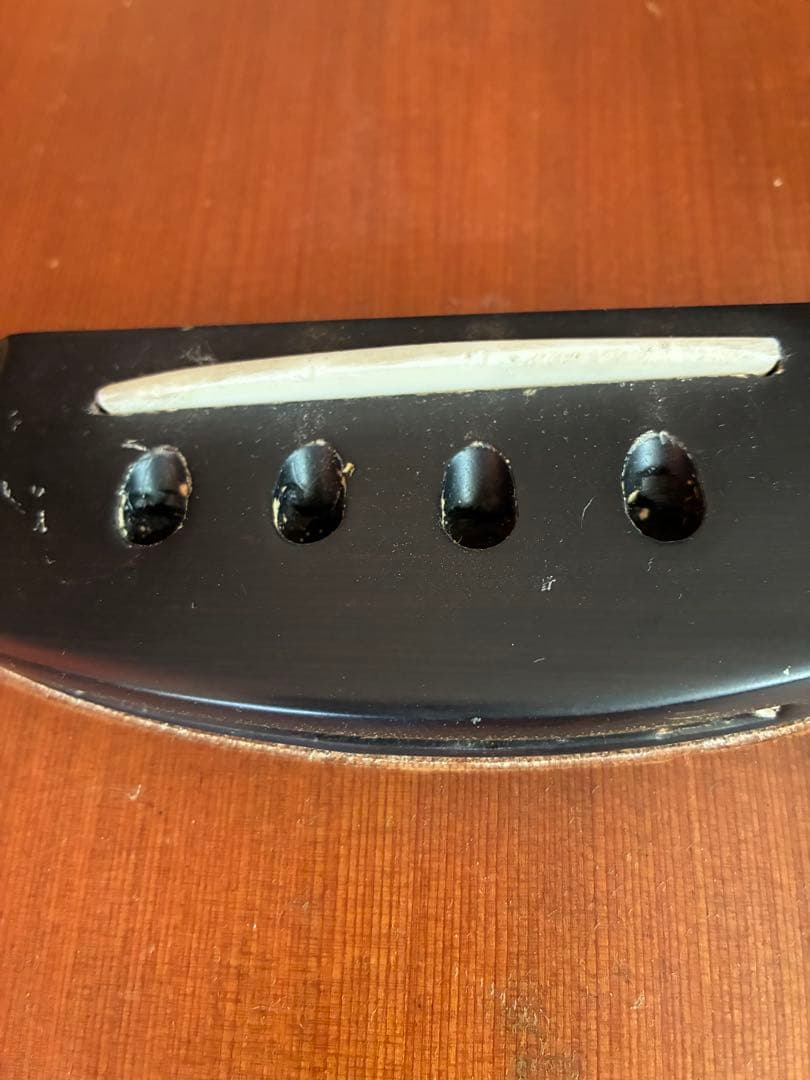 Alegre アコースティックベース　アンプ接続可能