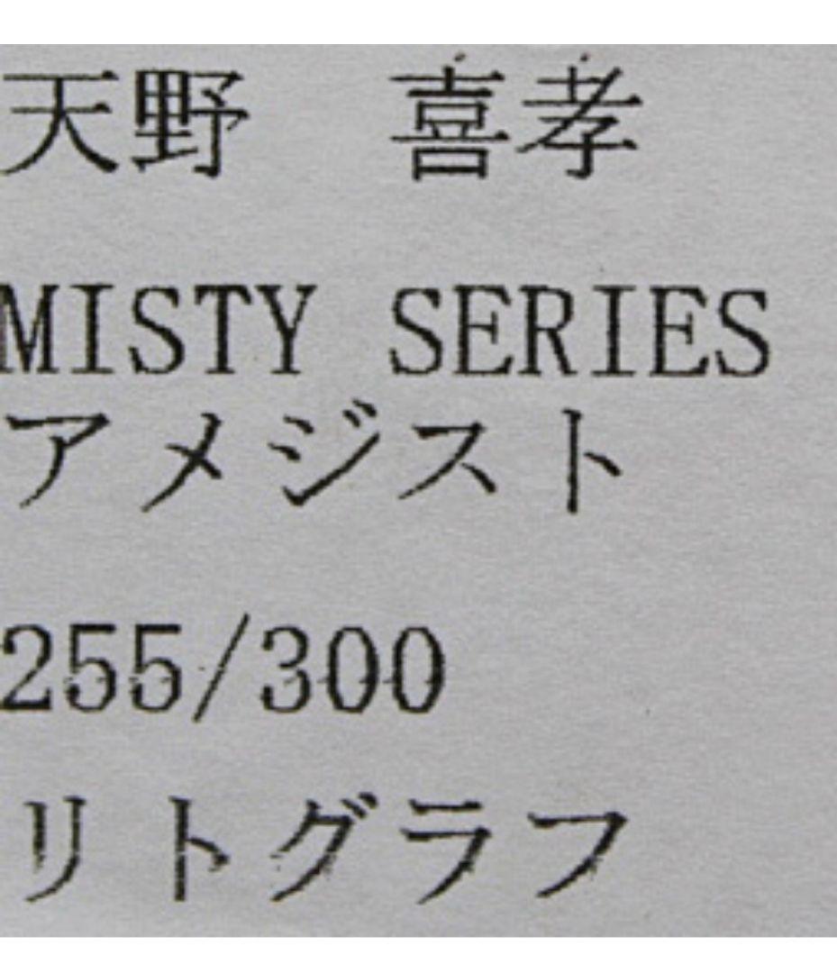 天野喜孝 MISTY SERIES アメジスト リトグラフ 直筆サイン FF