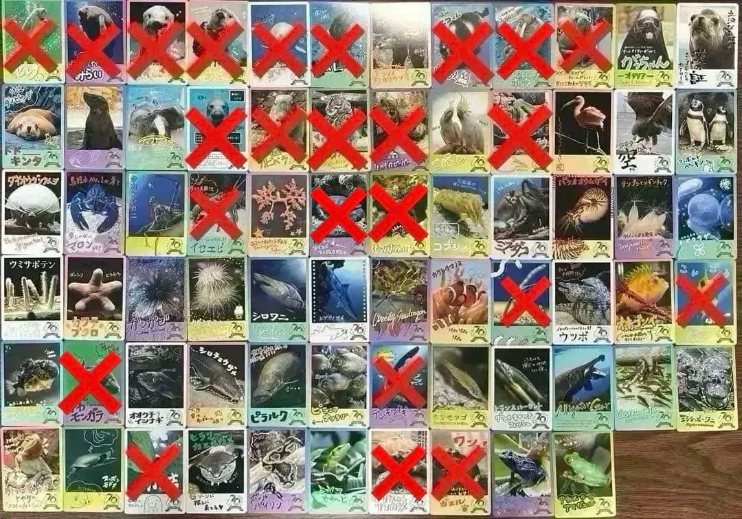 鳥羽水族館 コレクションカード バラ売り