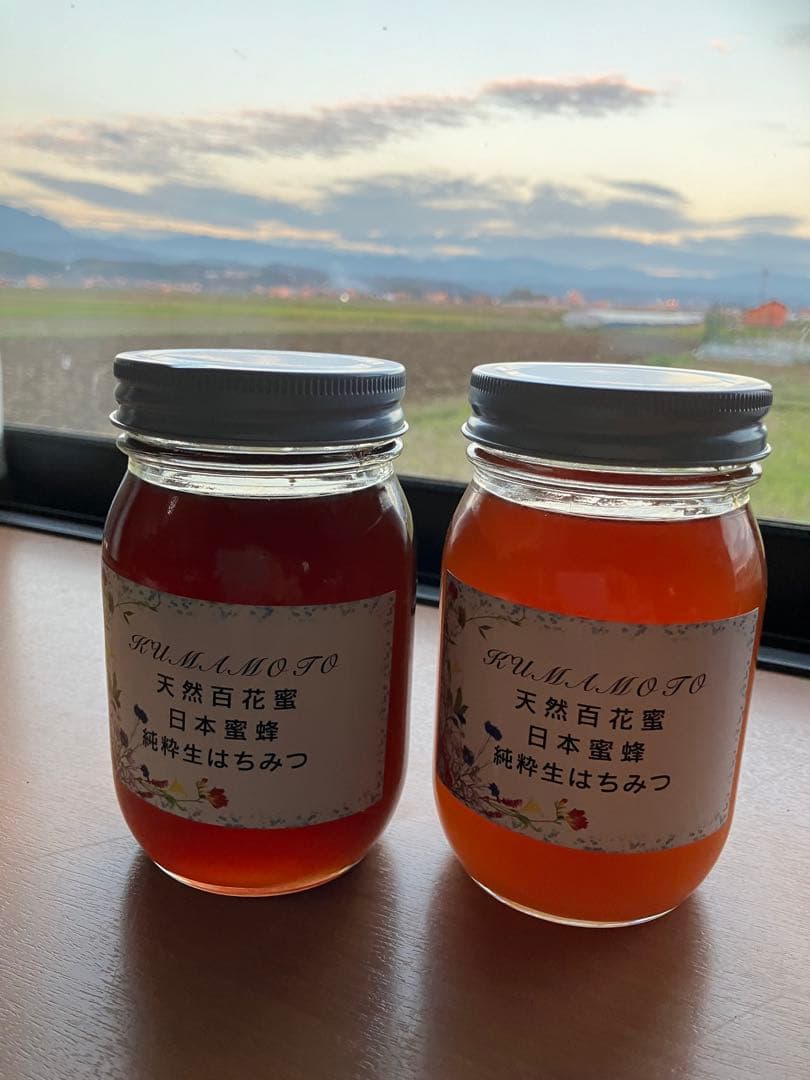 ハチミツ　日本蜜蜂の蜂蜜　はちみつ　純粋生の百花蜜