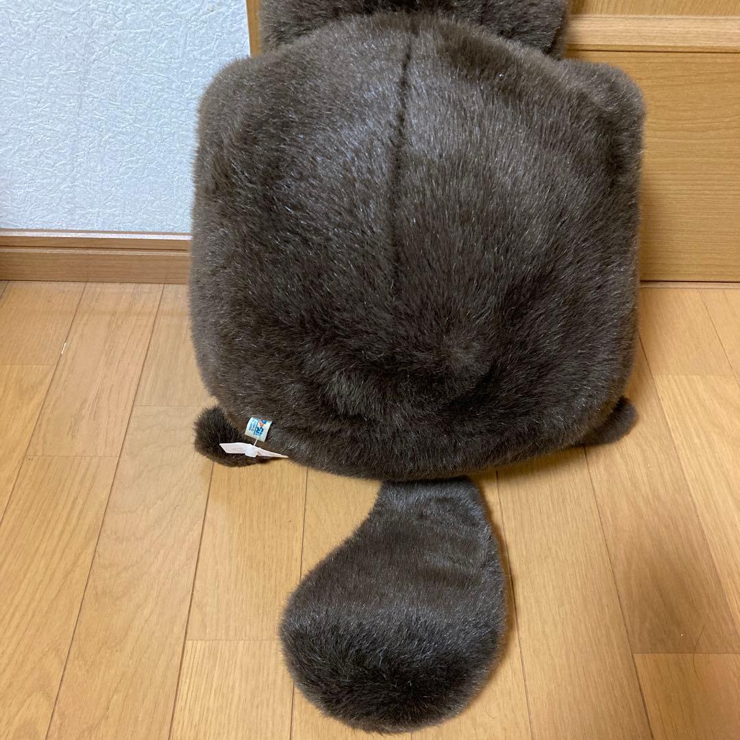 たま吉 たぬき ぬいぐるみ ファースト