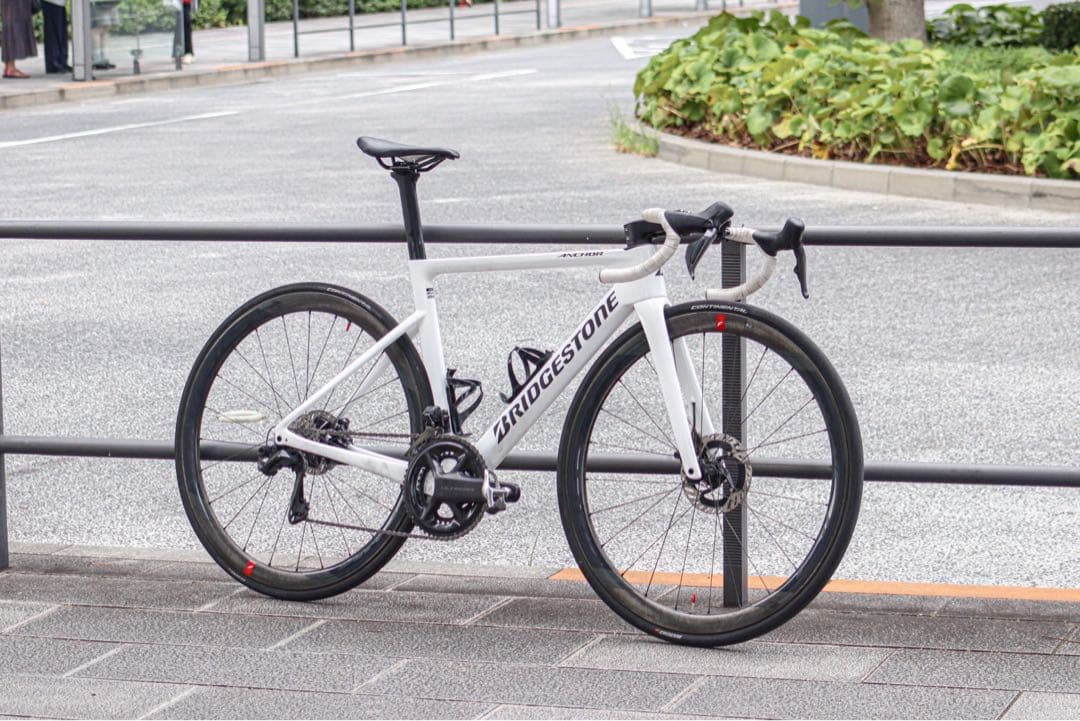 自転車本体 BRIDGESTONE RP8