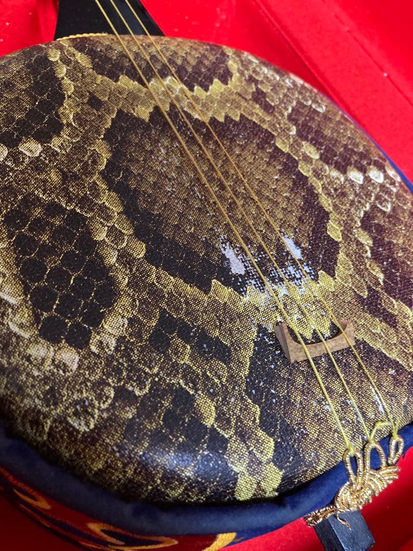 三味線 沖縄 楽譜付 合皮 クロコダイルケース付 楽器 ケース