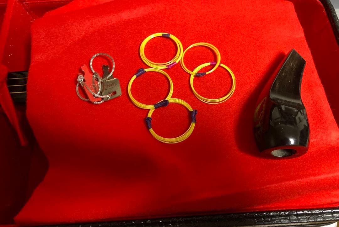 三味線 沖縄 楽譜付 合皮 クロコダイルケース付 楽器 ケース