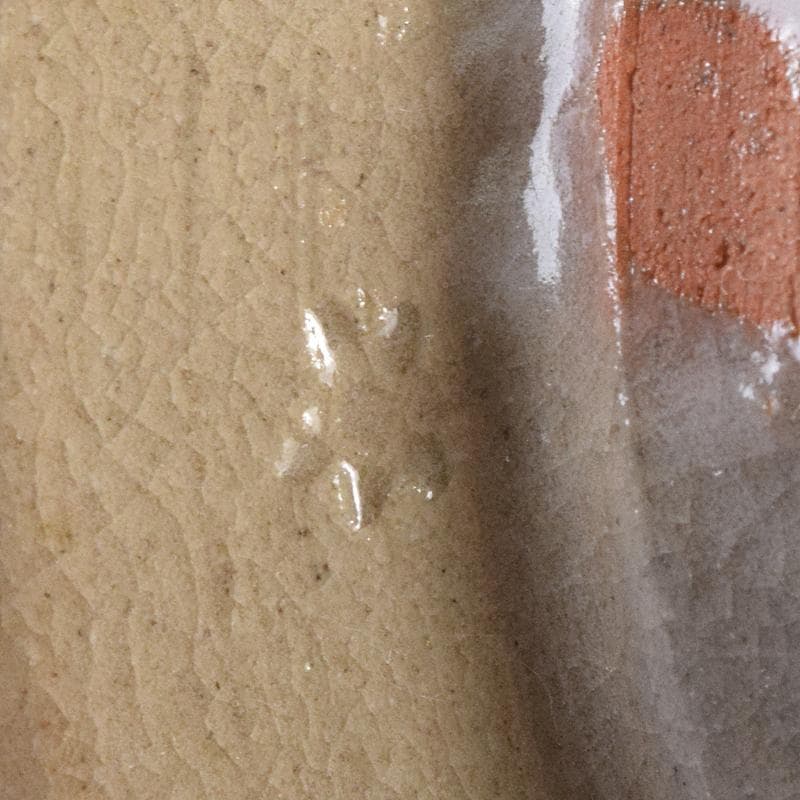 茶道具　赤膚焼　大塩正人造　御本立鶴　数茶碗　八客　共箱　V　R8550B