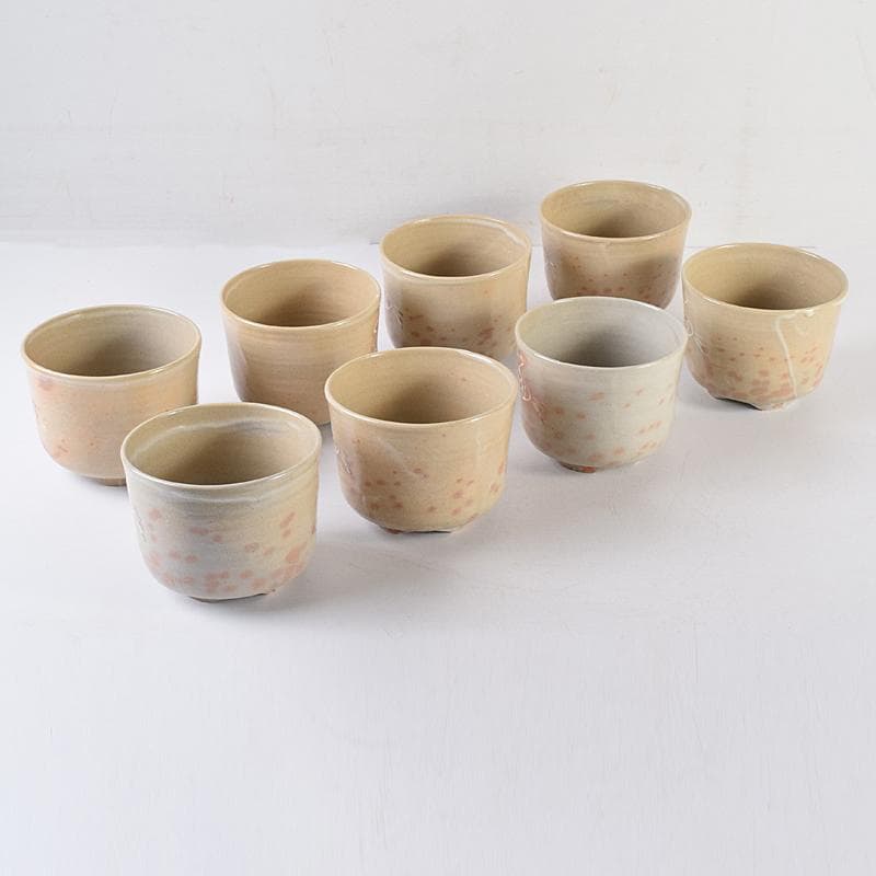 茶道具　赤膚焼　大塩正人造　御本立鶴　数茶碗　八客　共箱　V　R8550B