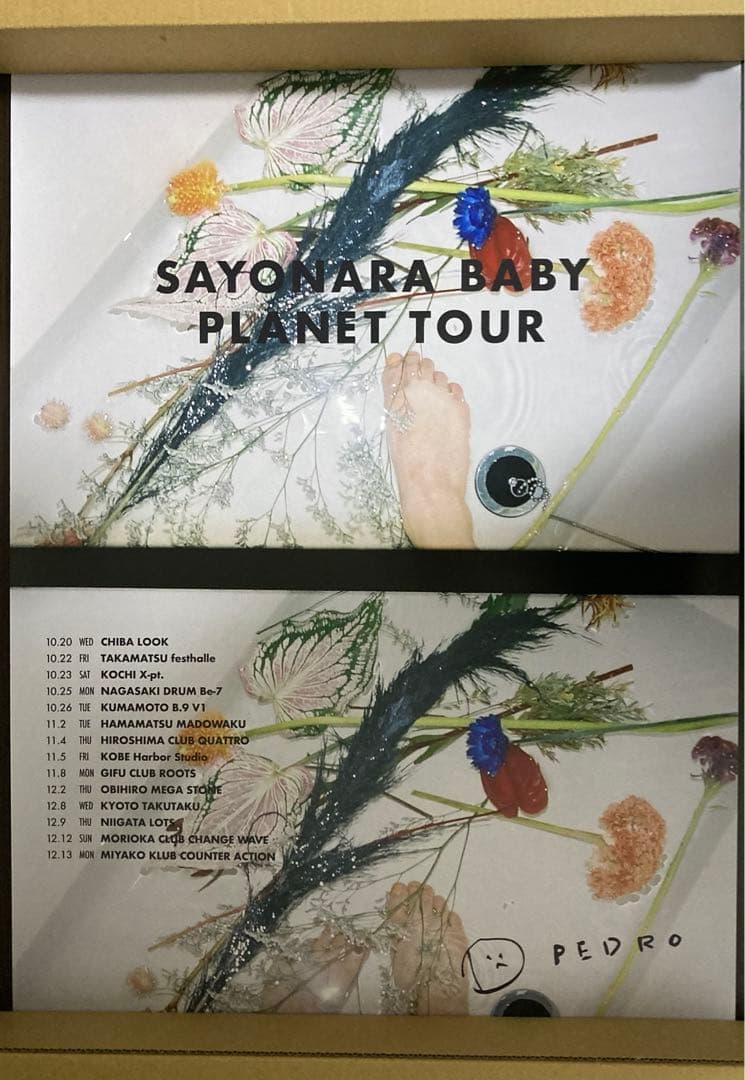 PEDRO ポスター　5枚セット　アユニ・D アユニD