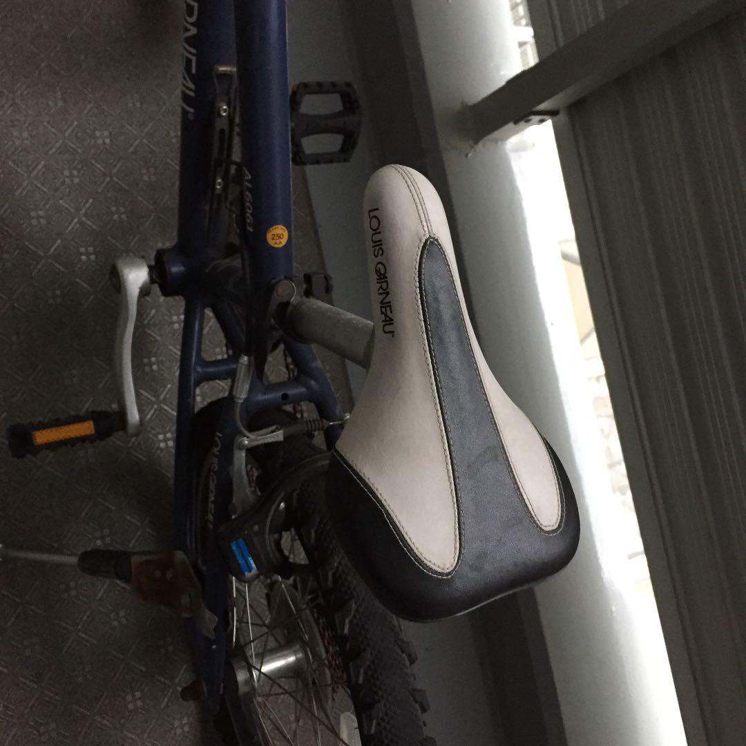 大幅値下げ！ルイガノ  20インチ