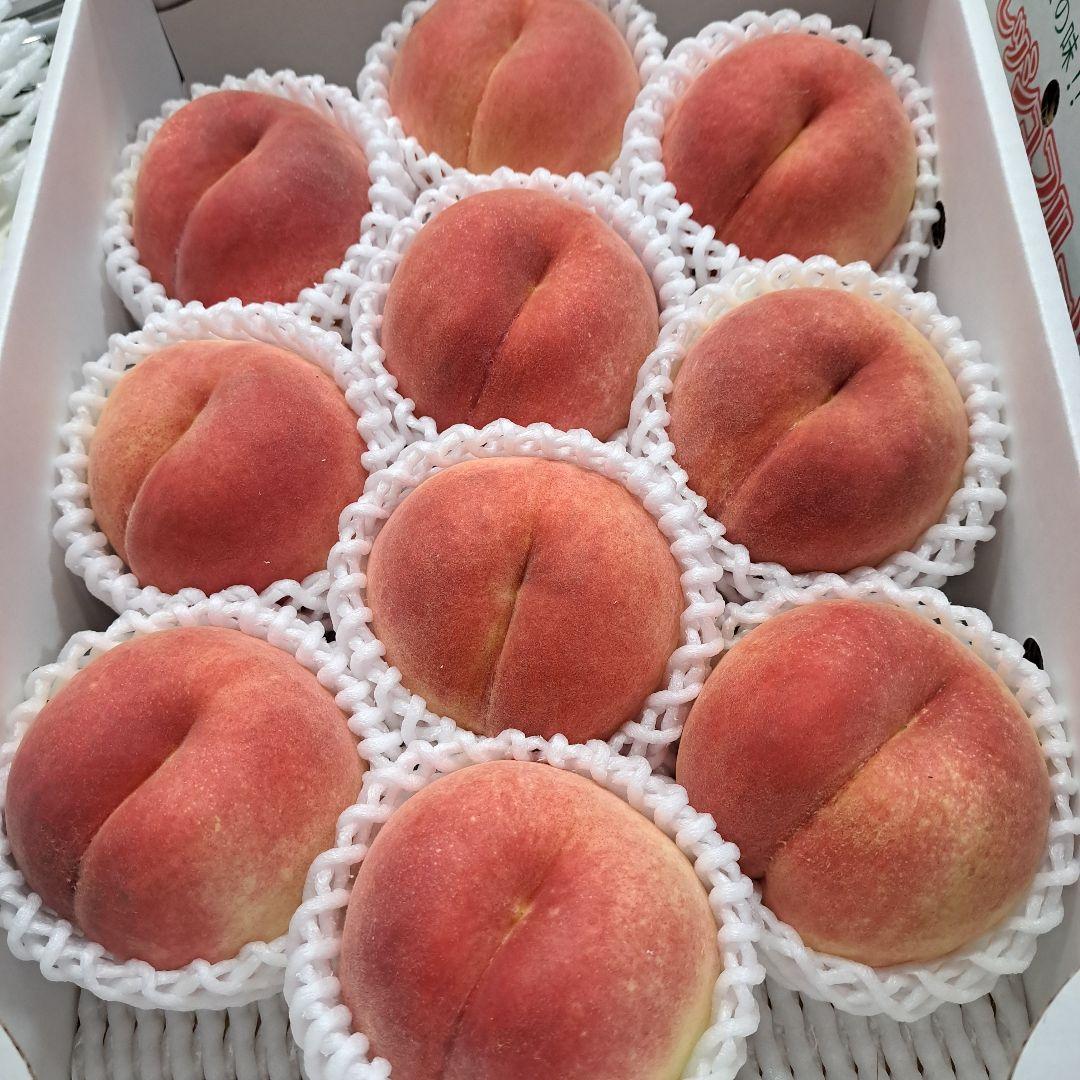 メンズ2児の母です。