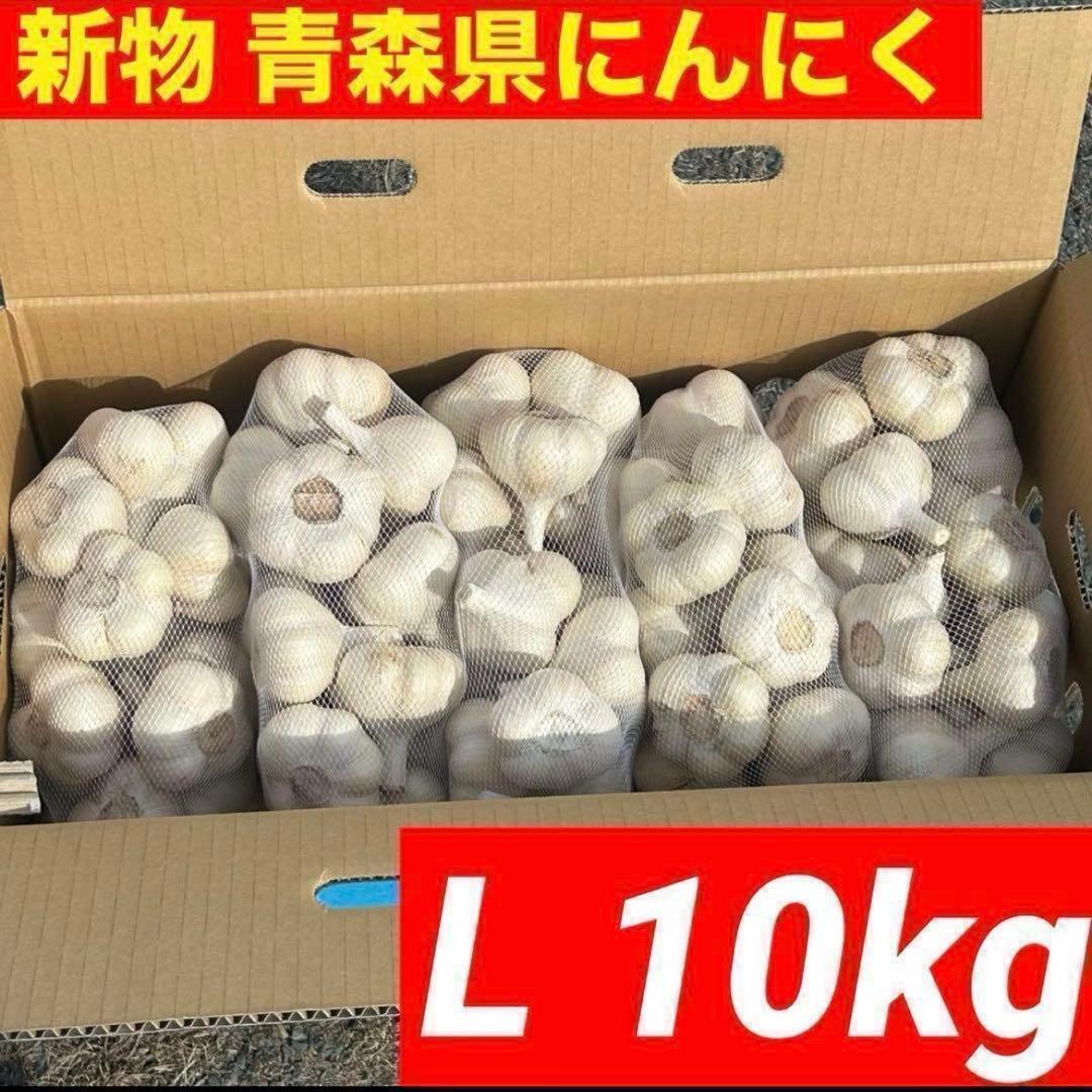 お得！新物 青森県 福地ホワイト にんにく L 10kg 加工 食用 種にんにく