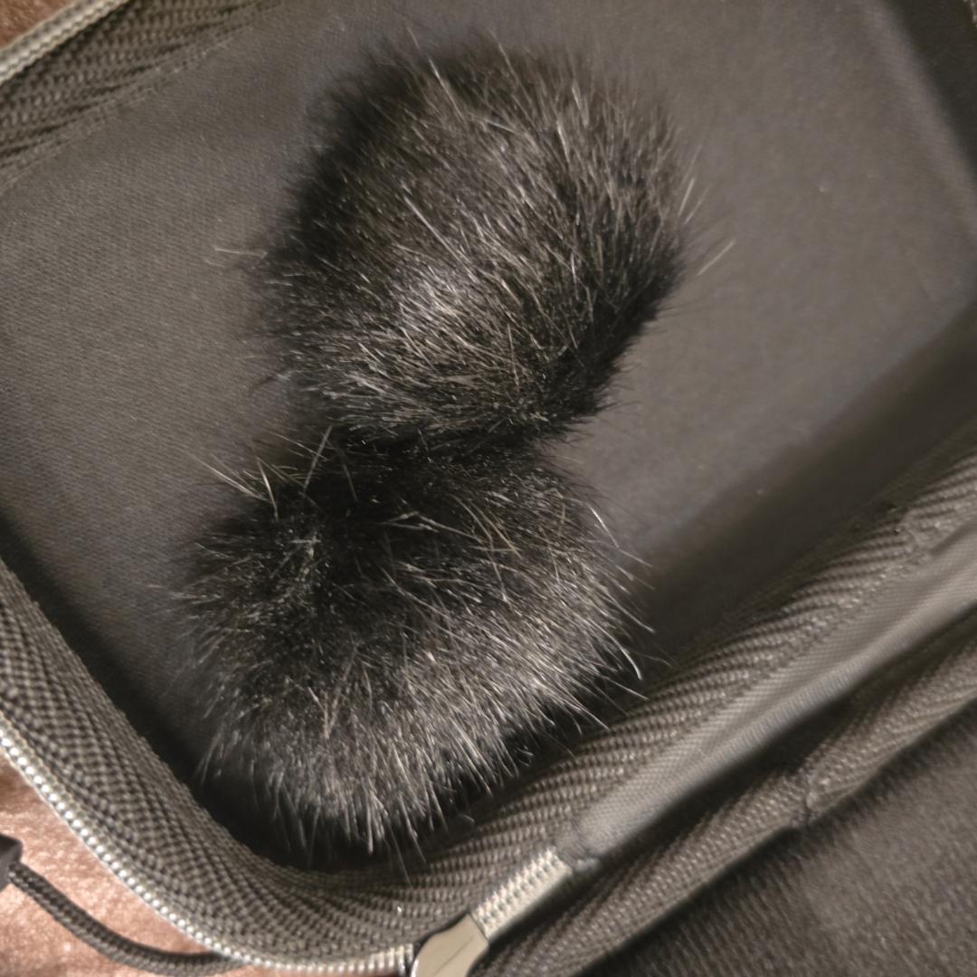 【Hollyland】Lark M1 ワイヤレスマイク