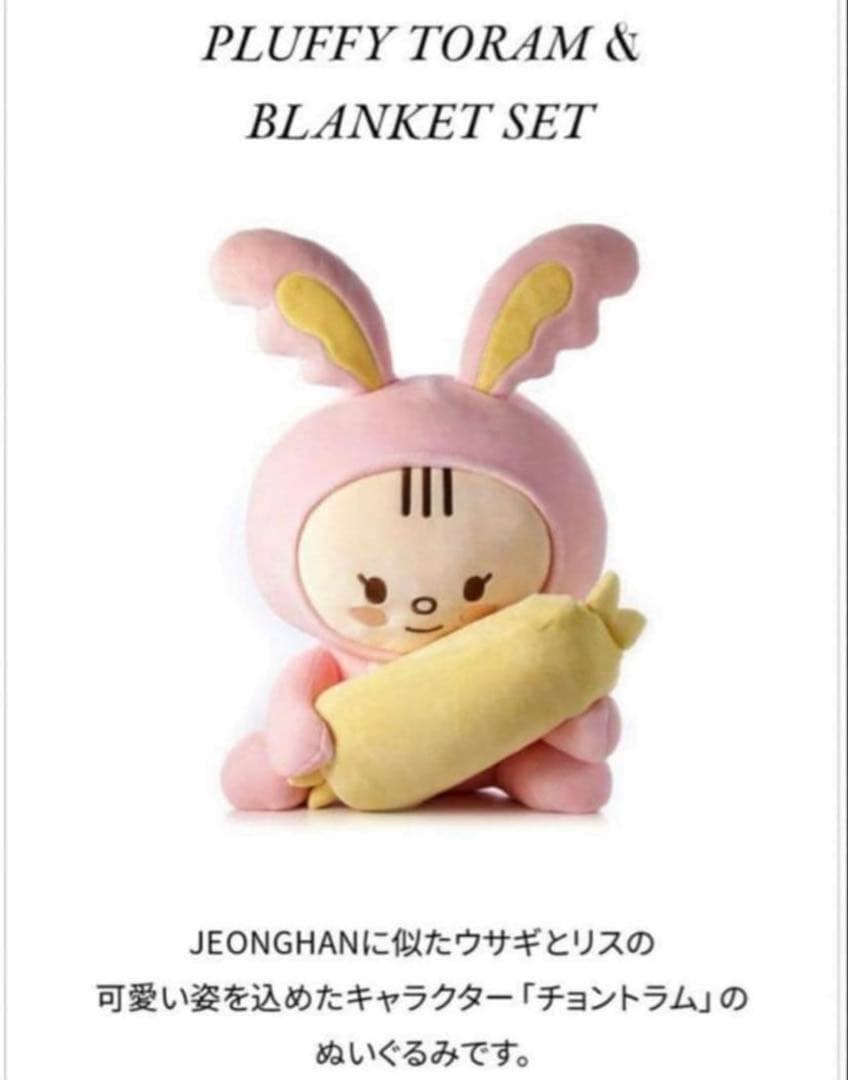 SEVENTEEN JEONGHAN トラム ぬいぐるみ アーティストメイド