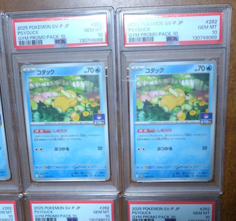 【PSA10】コダック しめりけ 262/SV-P ジムプロモ 10枚 連番