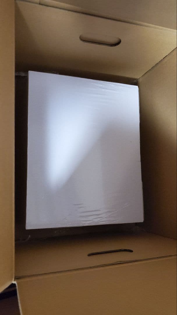 新品未開封　ブラウンダスト　ウィルヘルミナ　立体枕カバー