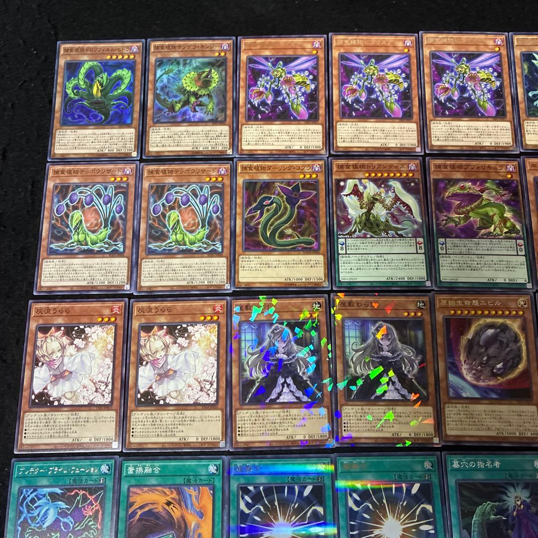 【即日発送】 遊戯王 «捕食植物(新規有)» 構築済みデッキ 115枚 日版