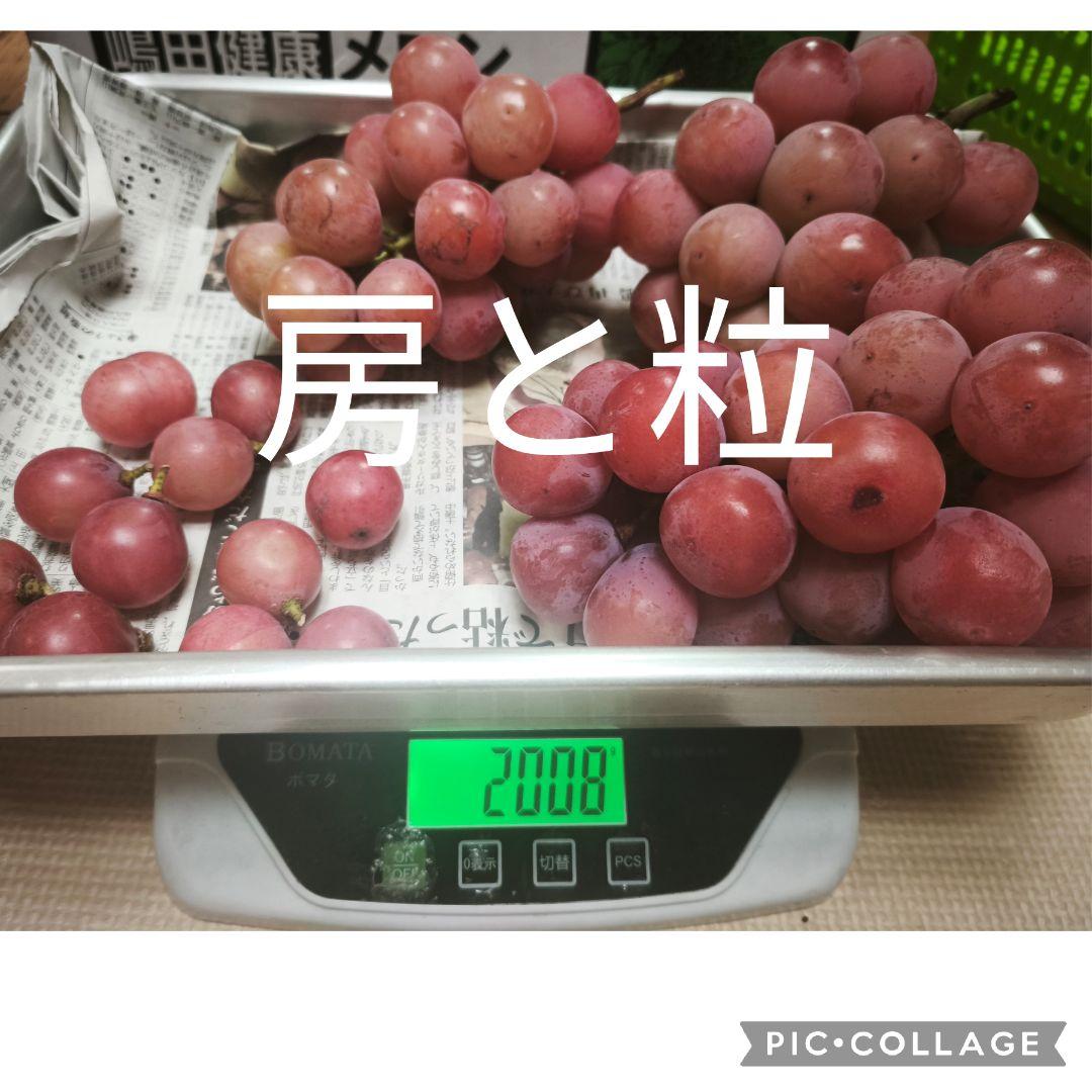 残り少ない【信州高山村のクイーンニーナ2キロ】ぶどう