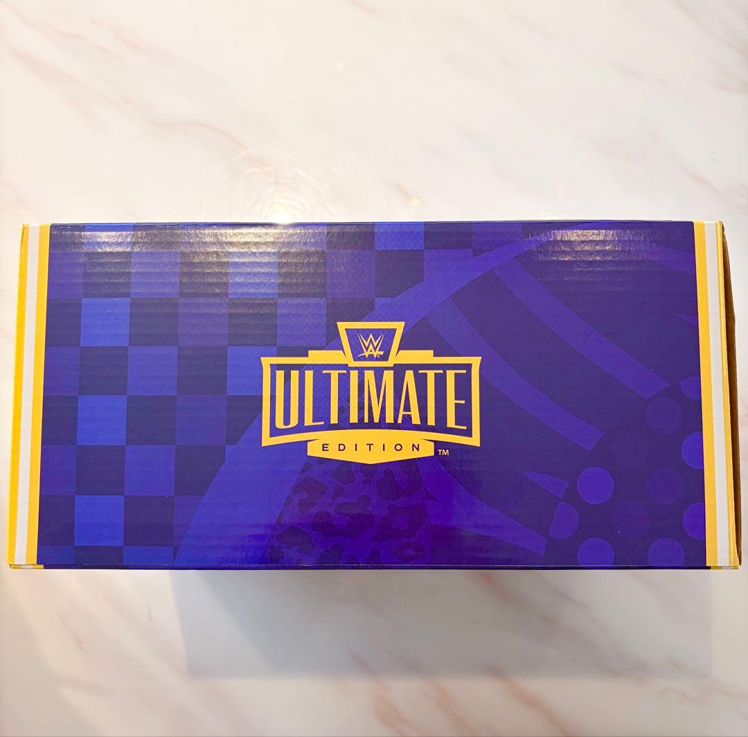 【新品未使用未開封】WWE 公式 シュタイナーブラザーズ フィギュア 日本未発売