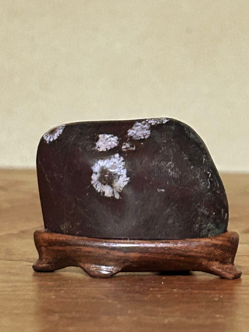 菊花石　菊紋石　根尾菊花石　飾石　天然石　水石 鑑賞石　自然石　原石　鈜物　置物