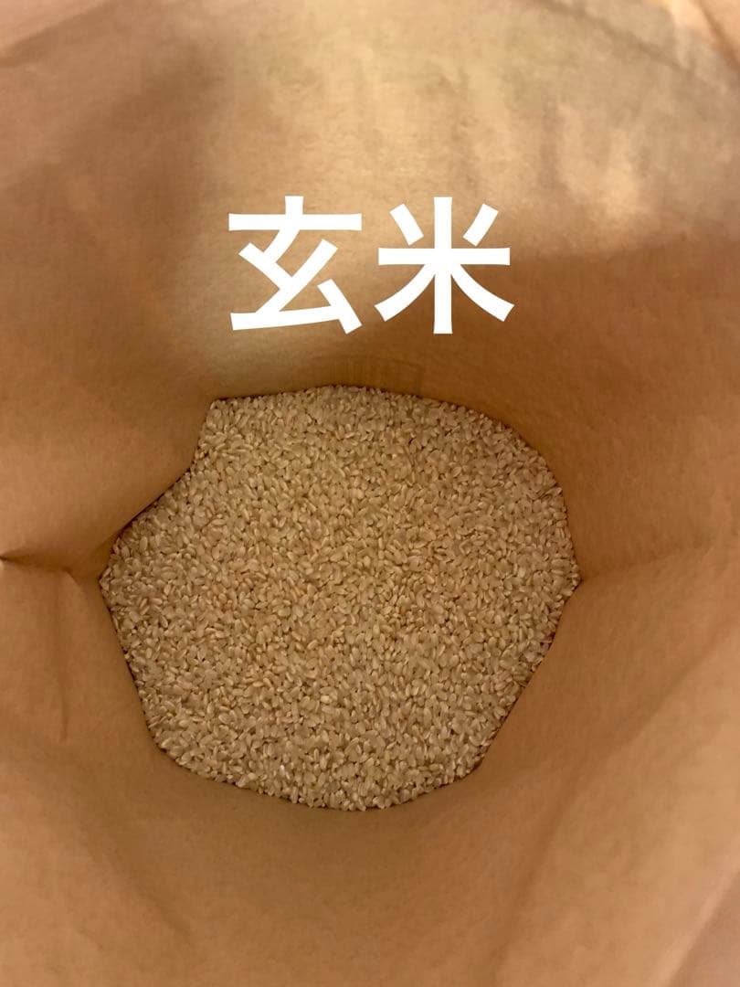 令和7年度　ヒノヒカリ10kg