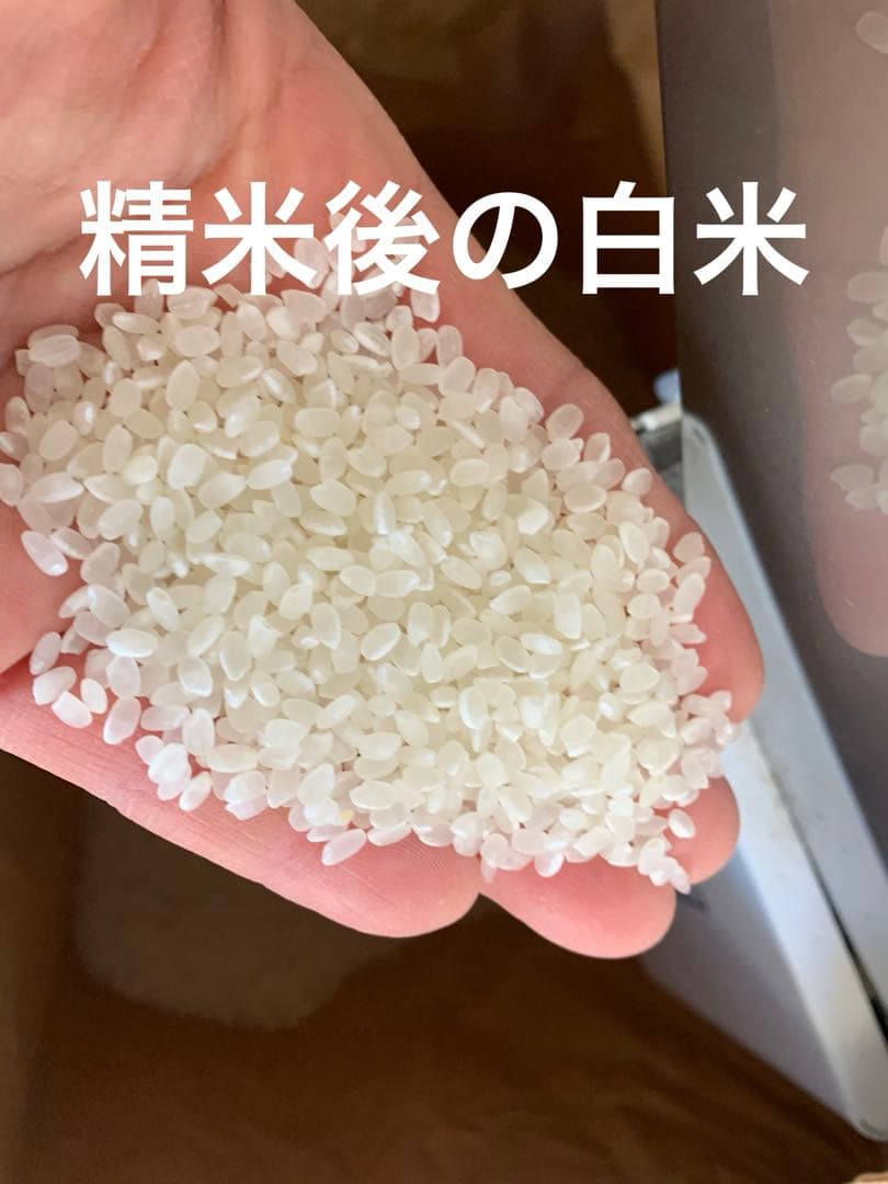 令和7年度　ヒノヒカリ10kg