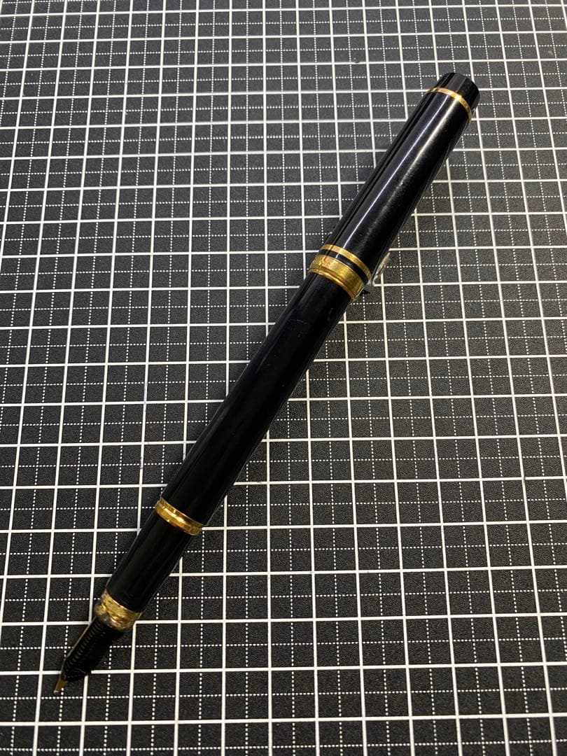 WATERMAN LE・MAN 100 万年筆　字幅F程度