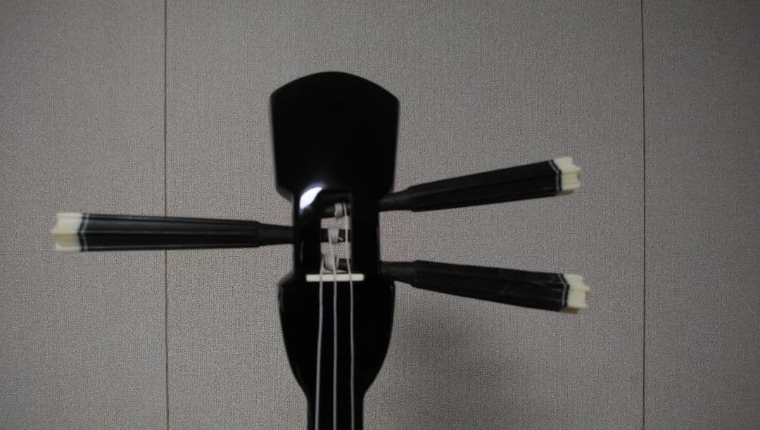 【美品】池武当島新垣三線店 紫檀 三線 本体 ケース付き【スタンダードモデル】