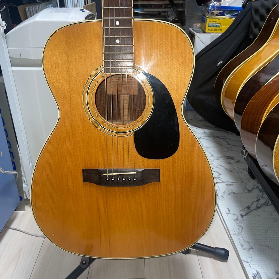 激鳴り　OOOタイプ　F200 Blue Bell アコースティックギター
