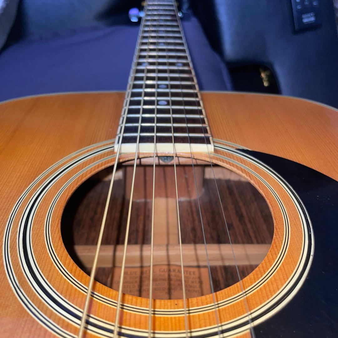 激鳴り　OOOタイプ　F200 Blue Bell アコースティックギター