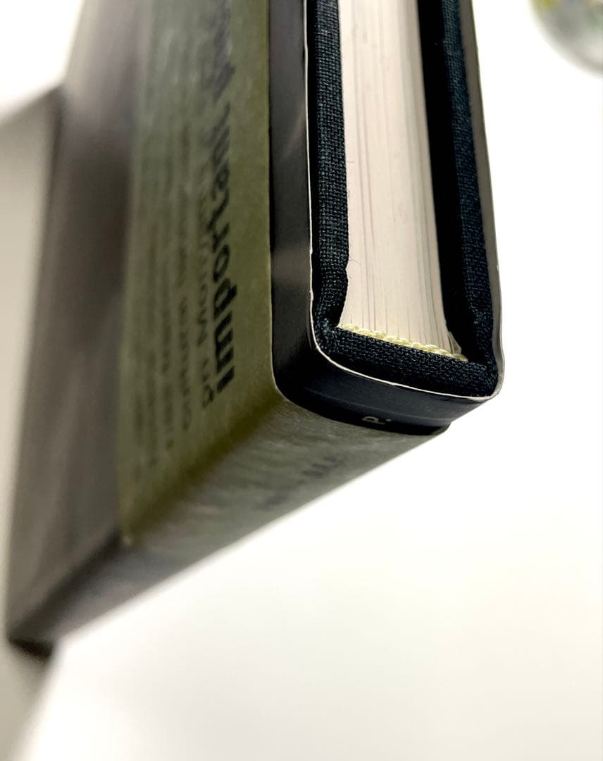 daido MORIYAMA: stray dog 写真集（海外版）【中古】