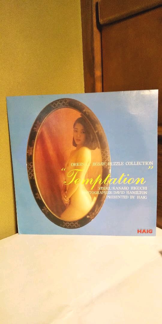 ジグソーパズル