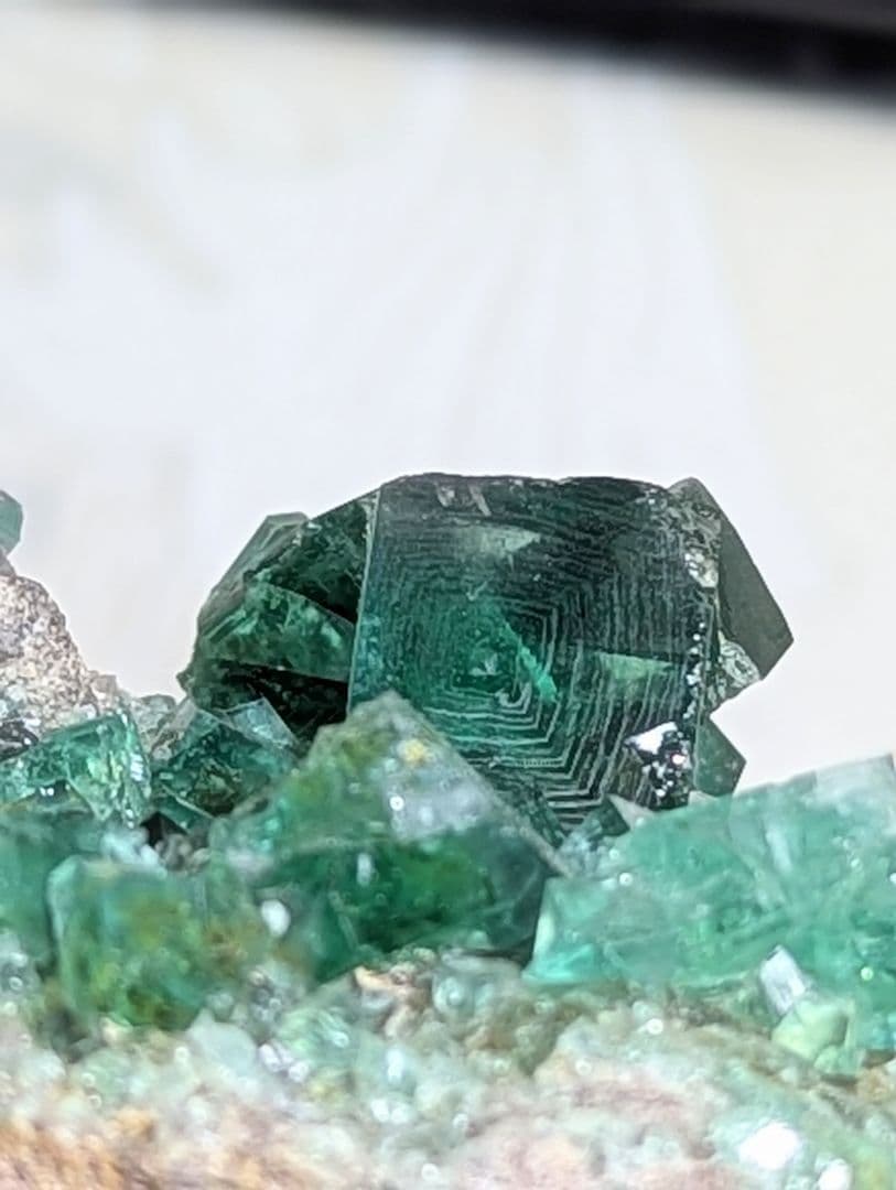 ※値下げ※ フローライト ロジャリー イギリス産 鉱物標本