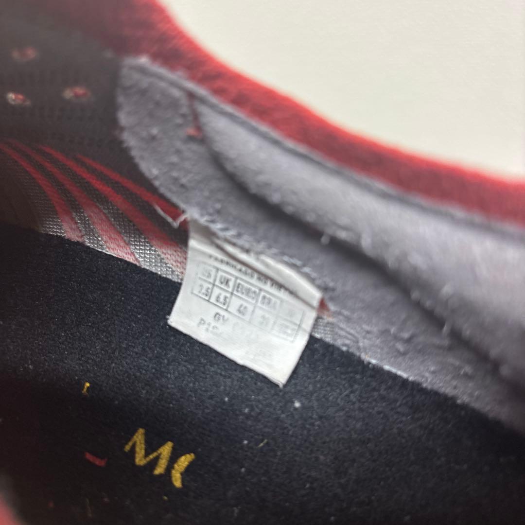 モレリアネオ３β