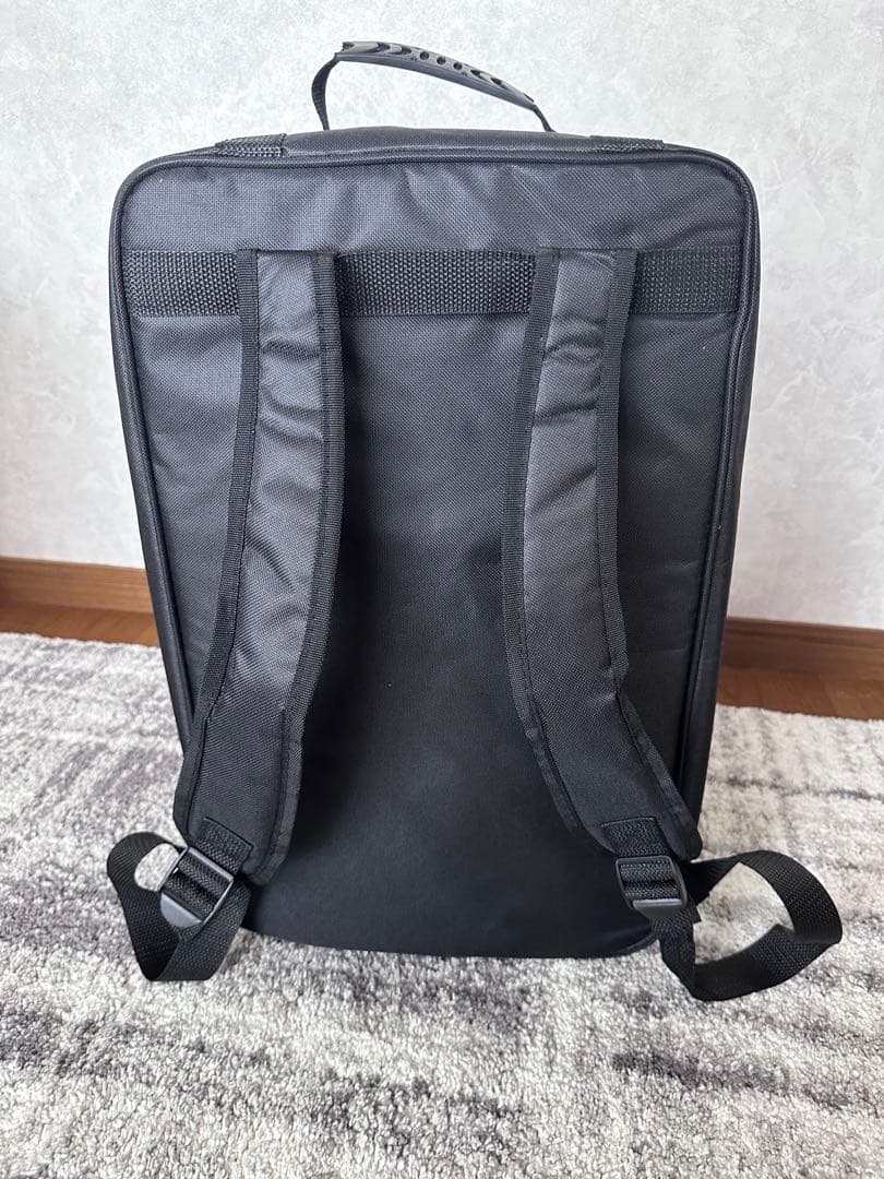 Schlogwerk シュラグヴェルク カホン　 CP150 ケース付き