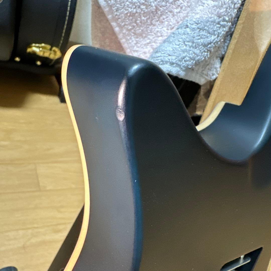 ギター strandberg Boden Standerd NX 6 Tremolo