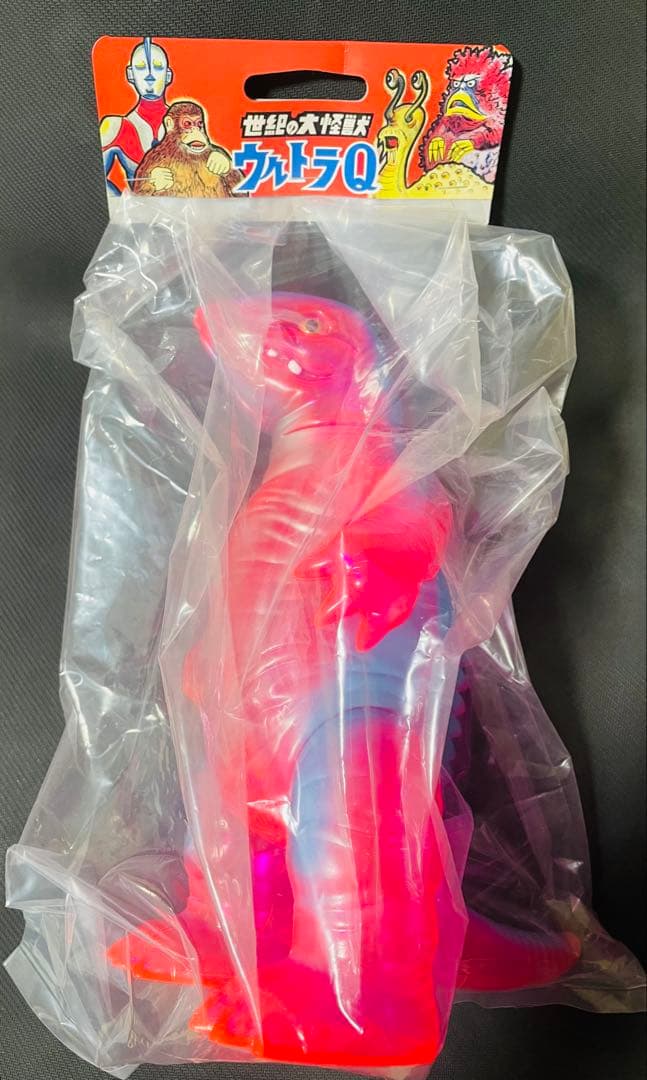 ツブコン2025限定　マルサン　ガボラ　ヒレ閉じ　クリア