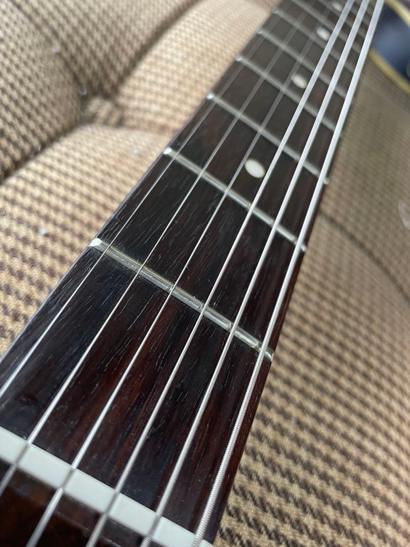 Bacchus BTC-1R LPB バッカス　テレキャスターカスタム